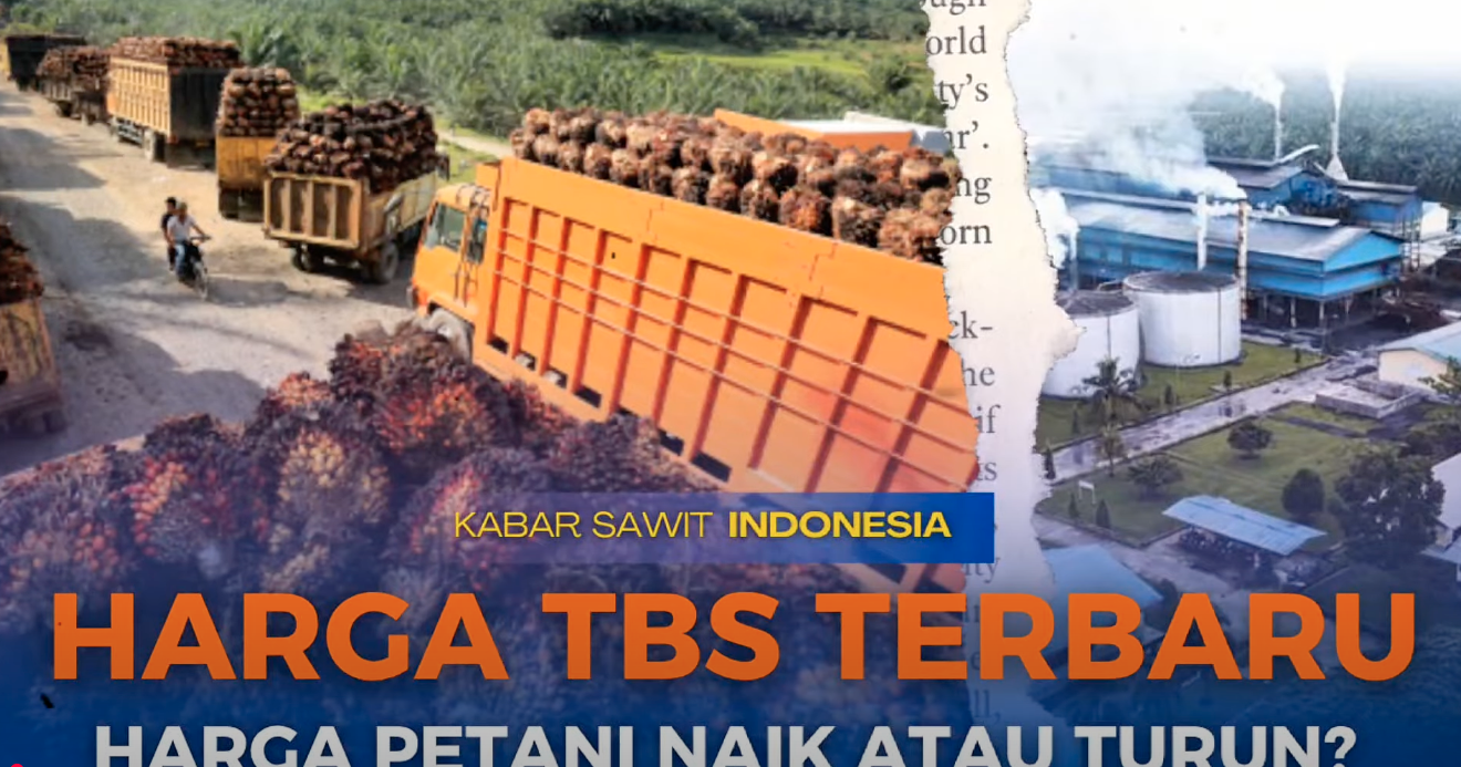 Berita 1